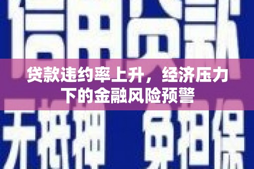 云和贷款违约率上升，经济压力下的金融风险预警