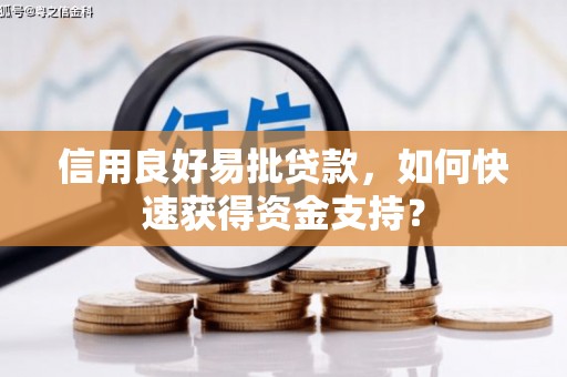 云和信用良好易批贷款，如何快速获得资金支持？