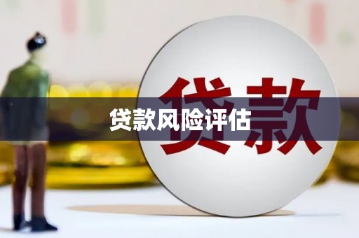 云和贷款风险评估
