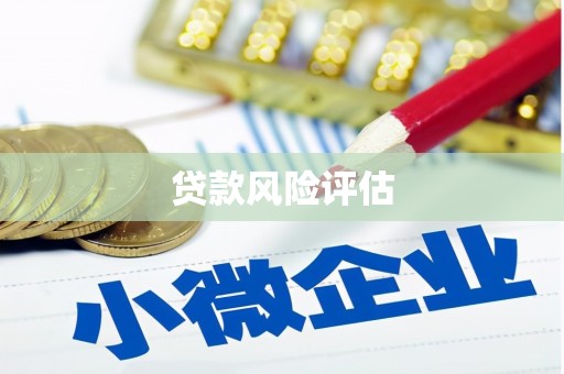 云和贷款风险评估