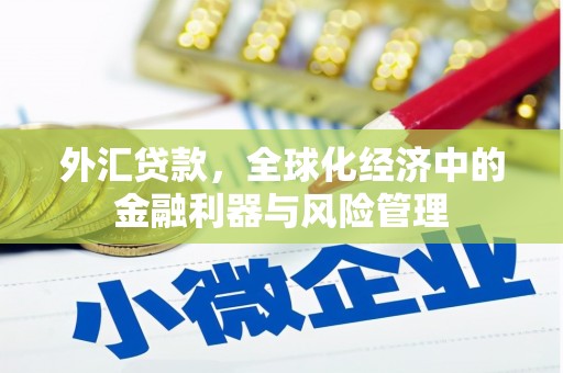 云和外汇贷款，全球化经济中的金融利器与风险管理