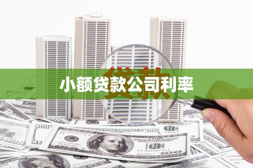 云和小额贷款公司利率