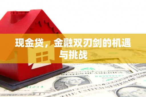 云和现金贷，金融双刃剑的机遇与挑战