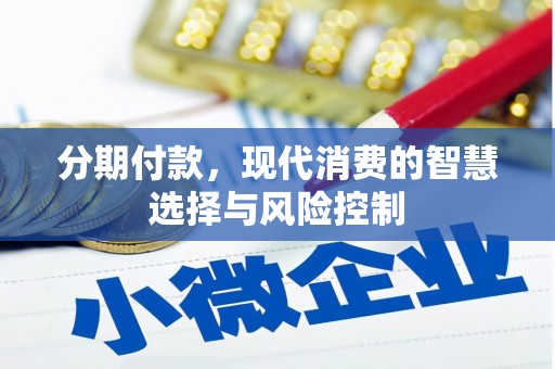 云和分期付款，现代消费的智慧选择与风险控制