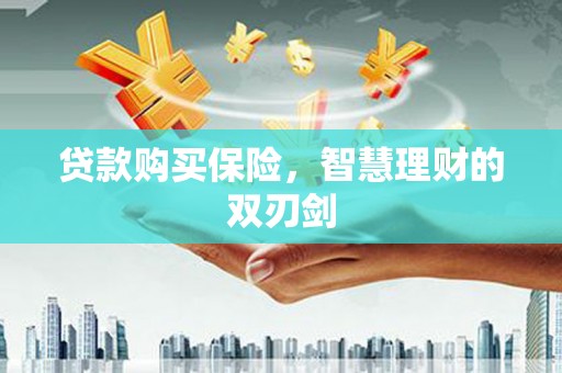 云和贷款购买保险，智慧理财的双刃剑