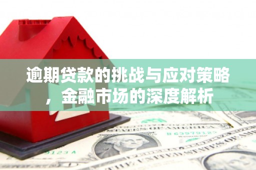 云和逾期贷款的挑战与应对策略，金融市场的深度解析