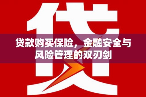 云和贷款购买保险，金融安全与风险管理的双刃剑