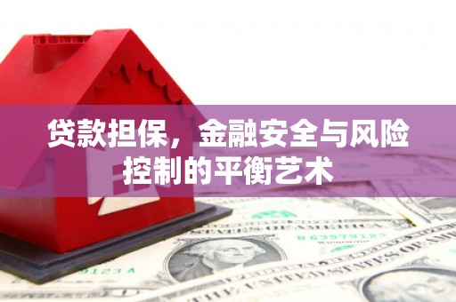 云和贷款担保，金融安全与风险控制的平衡艺术