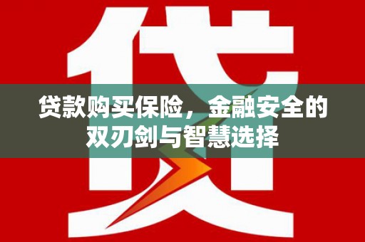 云和贷款购买保险，金融安全的双刃剑与智慧选择