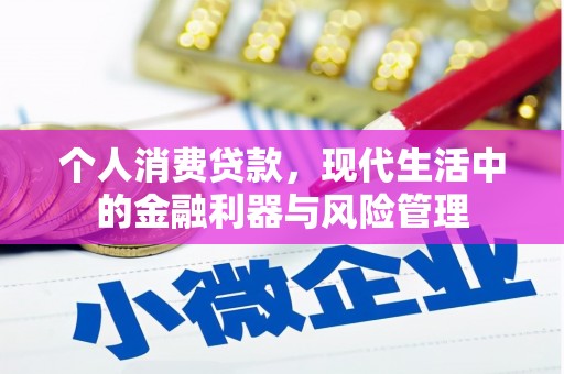 云和个人消费贷款，现代生活中的金融利器与风险管理