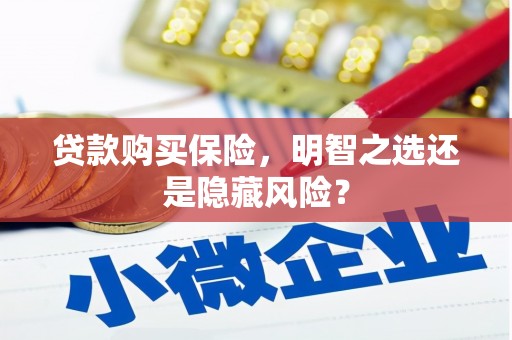 云和贷款购买保险，明智之选还是隐藏风险？
