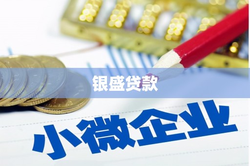 云和银盛贷款