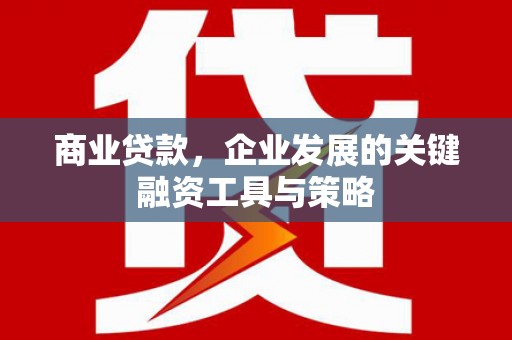 云和商业贷款，企业发展的关键融资工具与策略