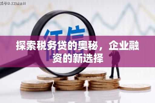 云和探索税务贷的奥秘，企业融资的新选择
