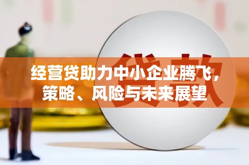 云和经营贷助力中小企业腾飞，策略、风险与未来展望