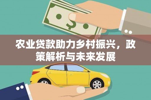 云和农业贷款助力乡村振兴，政策解析与未来发展