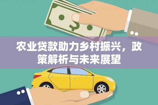 云和农业贷款助力乡村振兴，政策解析与未来展望