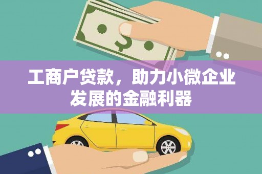云和工商户贷款，助力小微企业发展的金融利器
