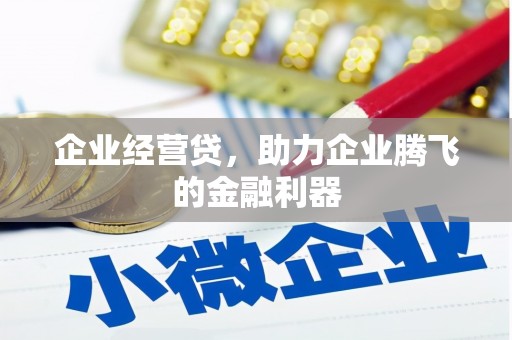 云和企业经营贷，助力企业腾飞的金融利器