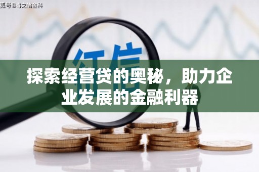 云和探索经营贷的奥秘，助力企业发展的金融利器