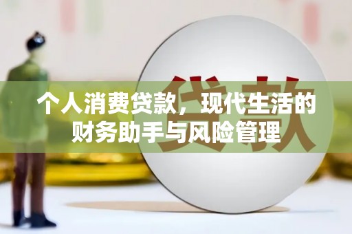 云和个人消费贷款，现代生活的财务助手与风险管理