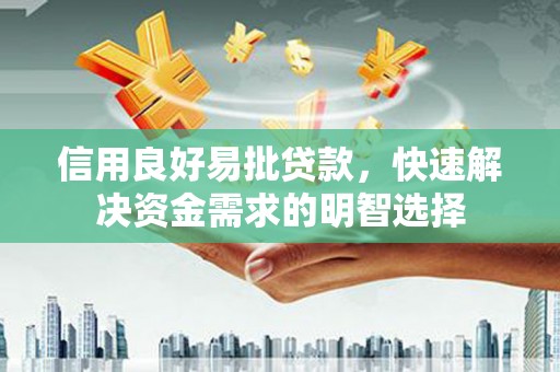 云和信用良好易批贷款，快速解决资金需求的明智选择