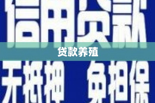 云和贷款养殖
