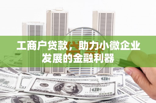 云和工商户贷款，助力小微企业发展的金融利器