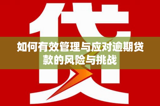 云和如何有效管理与应对逾期贷款的风险与挑战
