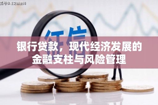 云和银行贷款，现代经济发展的金融支柱与风险管理