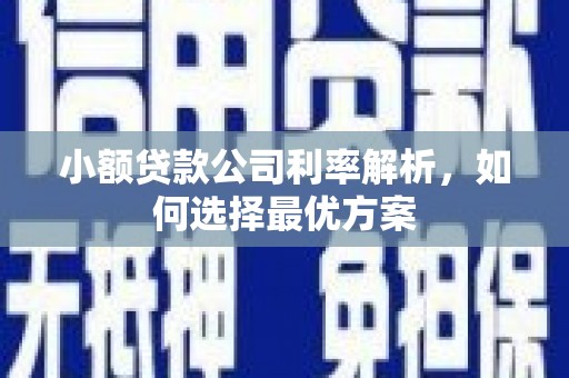 云和小额贷款公司利率解析，如何选择最优方案