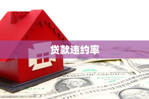 云和贷款违约率
