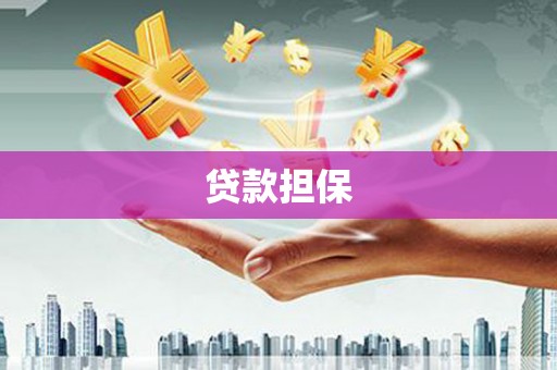 云和贷款担保