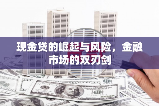 云和现金贷的崛起与风险，金融市场的双刃剑