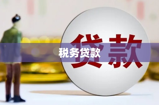 云和税务贷款