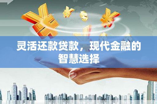云和灵活还款贷款，现代金融的智慧选择