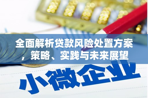 云和全面解析贷款风险处置方案，策略、实践与未来展望