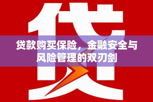 云和贷款购买保险，金融安全与风险管理的双刃剑