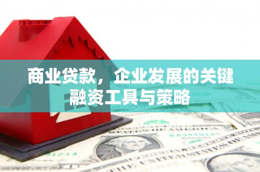 云和商业贷款，企业发展的关键融资工具与策略