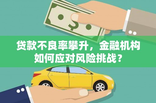 云和贷款不良率攀升，金融机构如何应对风险挑战？