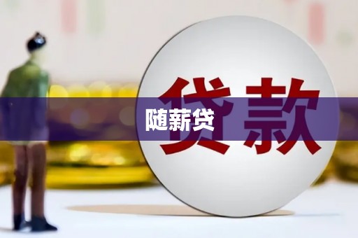云和随薪贷