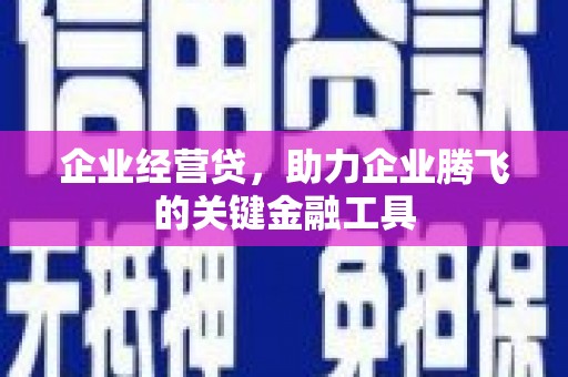 云和企业经营贷，助力企业腾飞的关键金融工具
