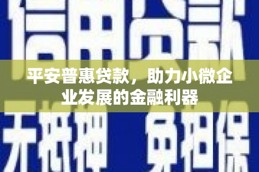 云和平安普惠贷款，助力小微企业发展的金融利器