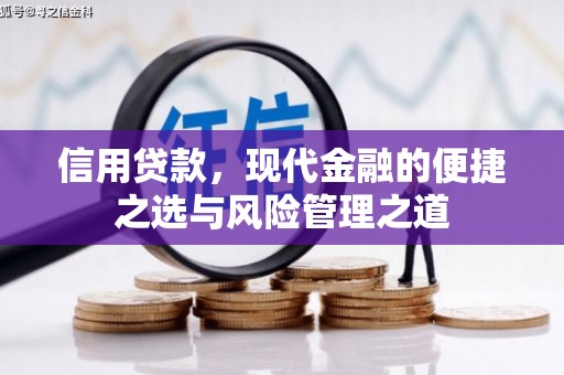 云和信用贷款，现代金融的便捷之选与风险管理之道