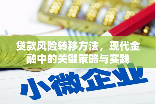 云和贷款风险转移方法，现代金融中的关键策略与实践