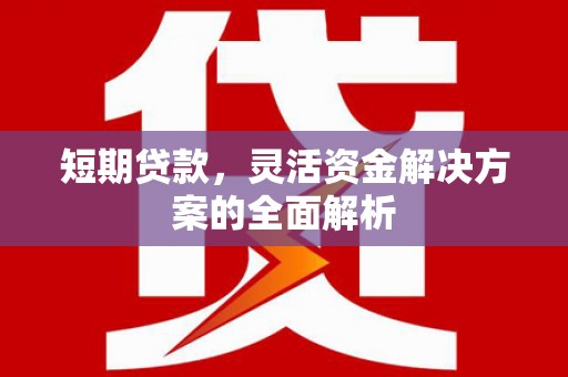 云和短期贷款，灵活资金解决方案的全面解析