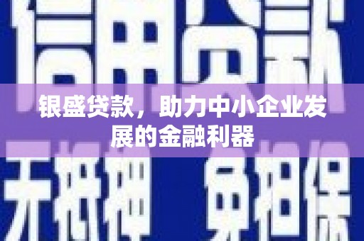 云和银盛贷款，助力中小企业发展的金融利器