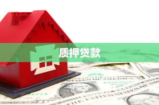 云和质押贷款