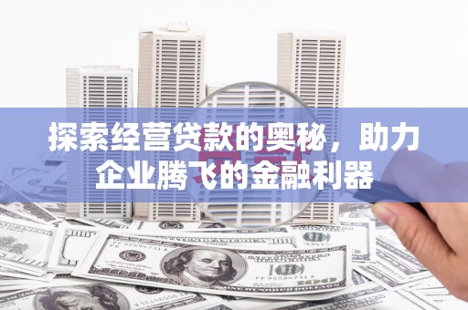 云和探索经营贷款的奥秘，助力企业腾飞的金融利器