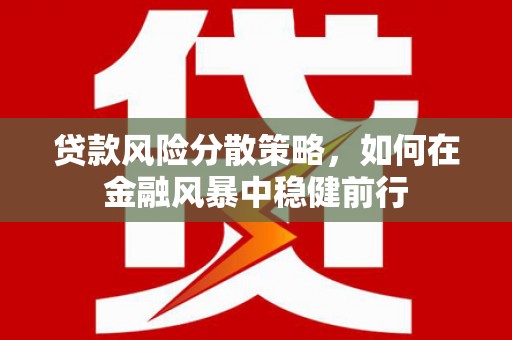 云和贷款风险分散策略，如何在金融风暴中稳健前行